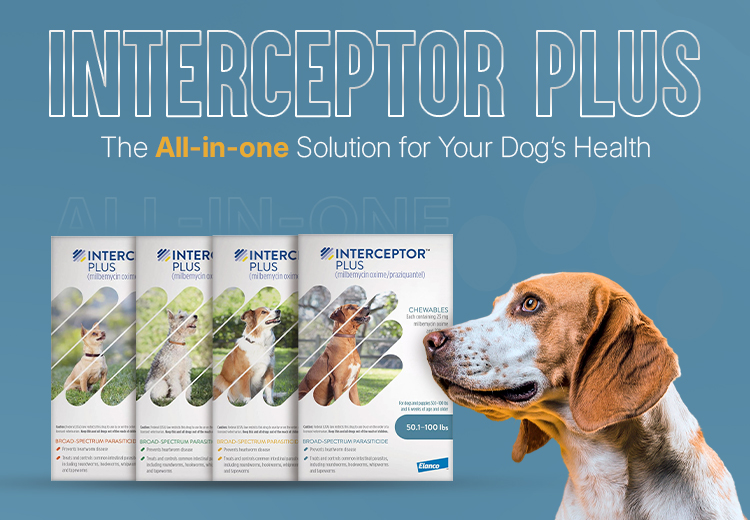 interceptor-plus-the-all-in-one-solution-for-your-dogs-health